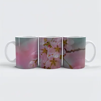 Produktbild von raxxa Premium-Tasse "Frühlingsblüten"