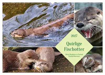 Produktbild von Quirlige Fischotter (Wandkalender 2027 DIN A2 quer), CALVENDO Monatskalender