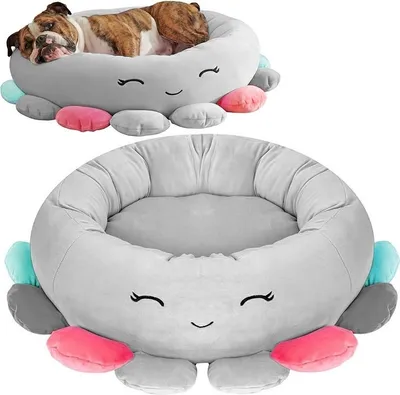 Image de Gotel Zw8F1 Chat Pour Chien Medusa