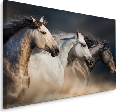 Produktbild von Fabelhafte Canvas LEINWAND BILDER 90x60 cm XXL Kunstdruck Tiere Pferde Wild Himmel