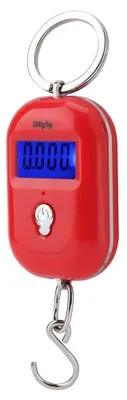 Productafbeelding van Elektronische digitale weegschaal, Draagbare Mini-Pocket, 25 kg/5 g