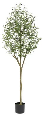 Zdjęcie produktu dla Künstlicher Olivenbaum im Topf 180cm