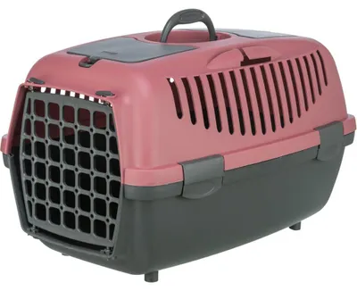 Produktbild von TRIXIE Capri 1 & 2 Transportbox für kleine Hunden und Katzen aus Kunststoff - 37 × 34 × 55 cm