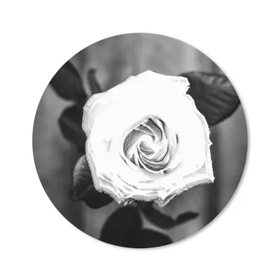 Produktbild von MuchoWow® Mauspad Mousepad Rose - Blumen - Blätter - Schwarz - Weiß 30x30 cm - Mousepads - Maus Mat - Pad - Mausunterlage - Tischunterlage - Schreibtischmatten