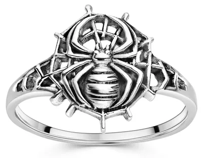 Produktbild von MATERIA by Matthias Wagner Spinnen Ring Silber 925 für Damen SR-159