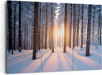 Produktbild von Bild auf Leinwand - Leinwandbild - Wald Winter Schnee - 165x110cm - Wand Bild - Wanddeko - Leinwanddruck - Bilder - Kunstdruck - Wanddekoration - Leinwand bilder - Wandkunst - CE165x110-3629