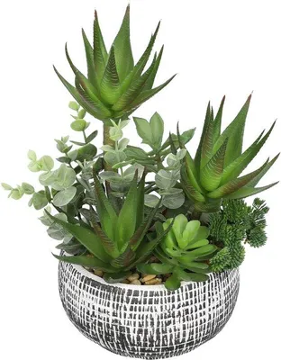 Zdjęcie produktu dla Sztuczne sukulenty Unyqoos® w ceramicznej doniczce, zielone – łatwe w pielęgnacji dekoracje (PE), 29 cm, doniczka 8,5 x 16 cm, idealne do domu i biura