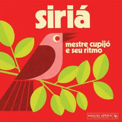 Obrázok produktu pre Majster Cupijo a jeho rytmus - Sýria