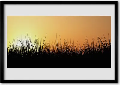 Produktbild von Bild 70x50 MDF-Rahmen Wandkunst Gras Natur Pflanze