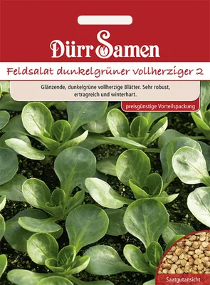 Produktbild von Dürr-Samen - Feldsalat Dunkelgrüner vollherziger (Vorteilspackung) - Saatgut - 4100