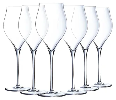 Champagnerflöte Exaltation 30 cl 6 Stück Kristallglas