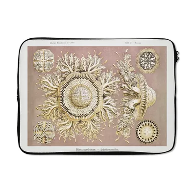 Produktbild von MuchoWow® Laptop Hülle 14 ZollJahrgang - Ernst Haeckel - Qualle - Kunst Laptoptasche - Laptoptasche - Stoßsicher - Schutzhaube