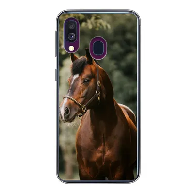 Produktbild von MuchoWow® Handyhülle Schutzhülle Hülle für Samsung Galaxy A40 Pferd - Äste - Porträt Silikon Softcase Handy Hülle - Handy-Tasche