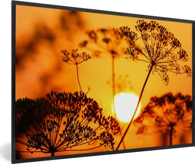 Produktbild von MuchoWow® Gerahmtes Poster Pflanzen - Blumen - Sonnenuntergang - Orange 60x40 cm - Poster mit Schwarzem Bilderrahmen Wandposter Rahmen Foto Bilder - Printing - Wanddeko Schlafzimmer