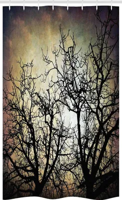 Image de ABAKUHAUS Rideau de douche étroit effrayant, branches grunge au crépuscule, ensemble de décoration de salle de bain en tissu avec crochets, 120 x 180 cm, noir sépia
