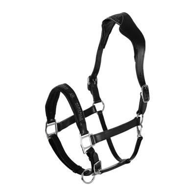 Produktbild von Acavallo Halfter Leder anatomisch