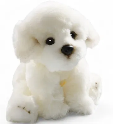 Produktbild von Carl Dick Bichon Hund sitzend ca. 24cm 3216 Kuscheltier, Plüschtier, Stofftier