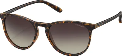 Immagine prodotto di POLAROID SUNGLASSES Occhiali da sole PLD 6003_N_S_V08-LA_54