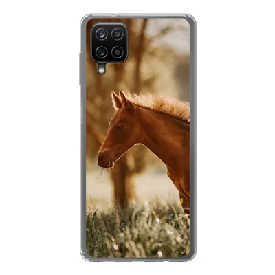 Produktbild von MuchoWow® Handyhülle Schutzhülle Hülle für Samsung Galaxy A12 Pferd - Licht - Wiese Silikon Softcase Handy Hülle - Bild