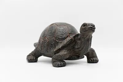 Produktbild von Design Dekofigur Schildkröte XXL 24x48cm aus Poly Wohnzimmer Tierfigur Garten Deko Modern Gartendeko Gartenfigur (Schildkröte XXL)