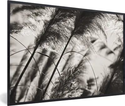 Produktbild von MuchoWow® Gerahmtes Poster Pampasgras - Schwarz - Weiß - Pflanze 90x60 cm - Poster mit Schwarzem Bilderrahmen Wandposter Rahmen Foto Bilder - Fotorahmen - Foto-Plakat