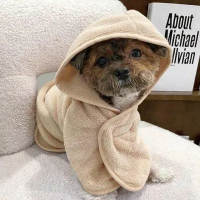 Produktbild von Ultiluxe Hundebademantel - Größe L - Beige - Schnell trocknend - Weich und saugfähig - Mikrofaser Hundemantel - Haustier Badetuch - Hundejacke