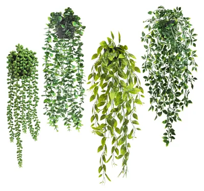 Image de 4 plantes suspendues artificielles en pot, plantes suspendues artificielles de 65 cm, plante suspendue artificielle, aspect réaliste, plante verte, décoration végétale en plastique (vert clair)