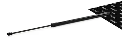 Produktbild von RIDEX 219G0641 Gasfeder Heckklappendämpfer für RENAULT Scénic III (JZ0/1) 665mm