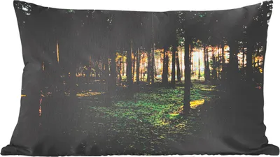 Produktbild von MuchoWow® Zierkissen Sofakissen Wohnzimmer Dekokissen 50x30 cm Baum - Sonne - Gras - Wohnzimmerdekoration - Polster mit Photo