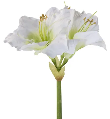 Obrázok produktu pre Fink AMARYLLIS, umelá kvetina, umelé vlákna, biela, dĺžka 49 cm, šírka 15 cm, hrúbka 1 cm, kód: 183273