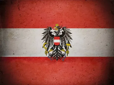 Produktbild von vianmo Holzschild 30x40 cm Flagge Österreich Fahne