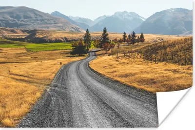 Produktbild von MuchoWow® Poster Road New Zealand Fotodruck 30x20 cm - Plakate - Print