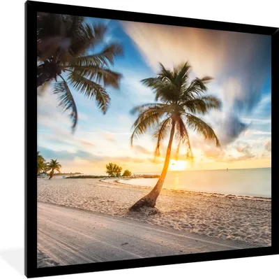 Produktbild von MuchoWow® Gerahmtes Poster Sonnenuntergang - Strand - Palme 40x40 cm - Poster mit Schwarzem Bilderrahmen Wandposter Rahmen Foto Bilder - Mit Rahmen - Wanddekoration Schlafzimmer