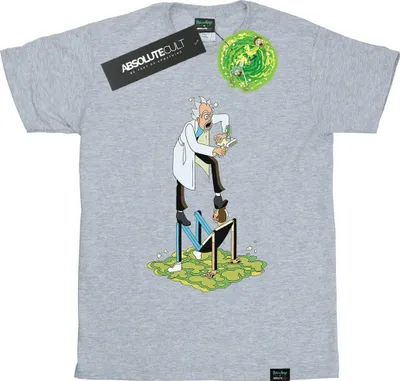 Produktbild von Rick And Morty - T-Shirt für Herren BI51774 (XL) (Grau)