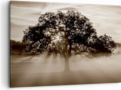 Produktbild von Bild auf Leinwand - Leinwandbild - Baum Feld Natur - 100x70cm - Wand Bild - Wanddeko - Wandbilder - Leinwanddruck - Bilder - Kunstdruck - Wanddekoration - Leinwand bilder - Wandkunst - AA100x70-3811