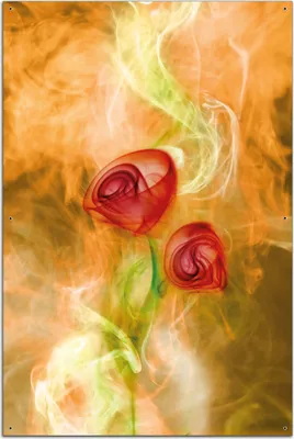 Produktbild von Wallario Outdoor-Poster für Garten oder Balkon, Motiv Abstrakte Rosen, in ca. 61 x 91,50 cm
