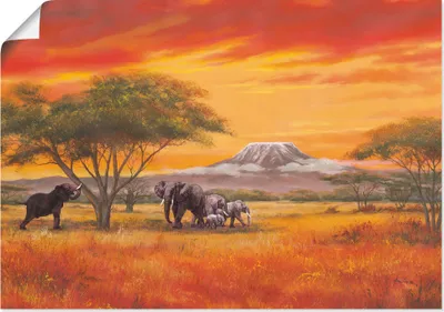 Produktbild von ARTland Poster Elefanten Größe: 60x30 cm