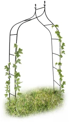 Immagine prodotto di Famanu Rosenbogen per giardino - Elegante supporto per piante rampicanti - 1 pezzo - Metallo - 240x140x38 cm