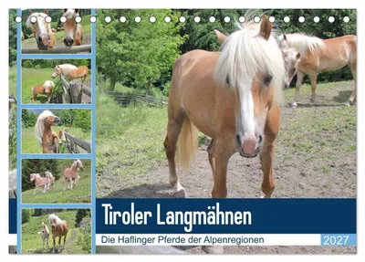 Produktbild von Tiroler Langmähnen (Tischkalender 2027 DIN A5 quer), CALVENDO Monatskalender