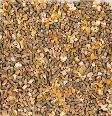 Produktbild von CHIX Körnermix Legehennen 4kg