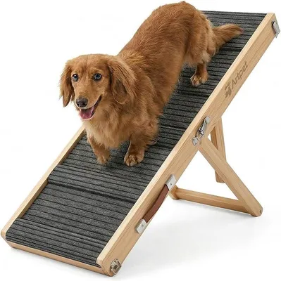 Imagen del producto de Rampa plegable para perros, ideal para sofás y camas