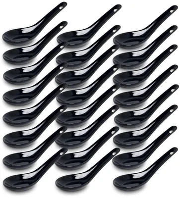 Produktbild von White and black Series ASIATICA | Porzellan-Löffel-Set 24er Set Ramen