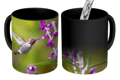 Obrázok produktu pre MuchoWow® Magický pohár Kolibrík - Vták - Kvety - Príroda 350 ml Pohár na zmenu farby Darček Nápad na darček - Foto hrnček