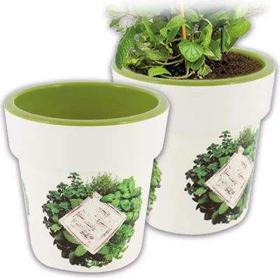 Produktbild von Kräutertopf mit IML - Kräuter Motiv - H=12cm, d=10,3 cm