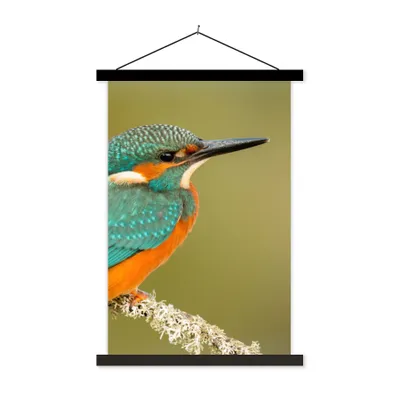 Produktbild von MuchoWow® Textilposter Eisvogel - Tiere - Vogel 120x180 cm mit schwarzem Rahmen - Fotos