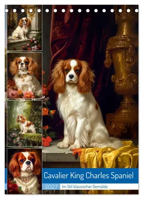 Produktbild von Cavalier King Charles Spaniel (Tischkalender 2027 DIN A5 hoch), CALVENDO Monatskalender