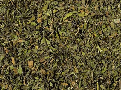 Produktbild von 1 kg Nana Minze/ Spearmint geschnitten