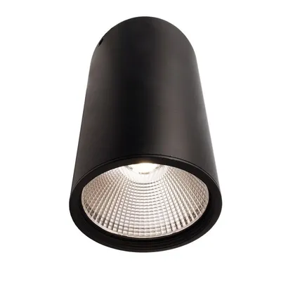 Immagine prodotto di KapegoLED 348066 Plafoniera Luna 40 , nero