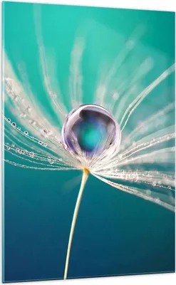 Produktbild von Bilder auf glas - Einteilig - Pflanze Natur - 70x100cm - Glasbilder - Wandbilder - Bilder - zum Aufhängen bereit - Wanddekoration aus Glas - Glas Bilder - Wandbild auf Glas - GPA70x100-3991