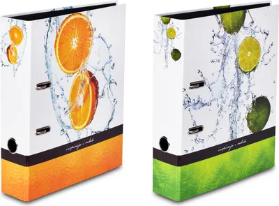 Produktbild von 2 verschiedene Motivordner "Livepac Fruits"  / DIN A4 / "Limette + Orange"